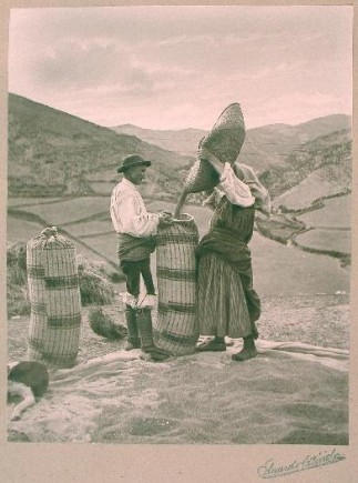 Labradores, 1903. Eduardo Cativiela. Foto: José Garrido. Museo de Zaragoza.