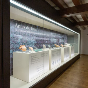 Antes del latín exposición. Foto: Omar Pedraza. Museo de Zaragoza.