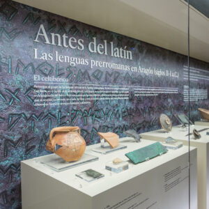 Antes del latín exposición. Foto: Omar Pedraza. Museo de Zaragoza.